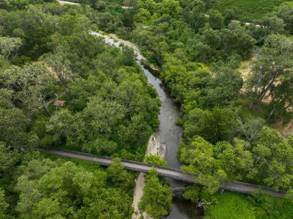 Bridge at Palo Corona Regional Park