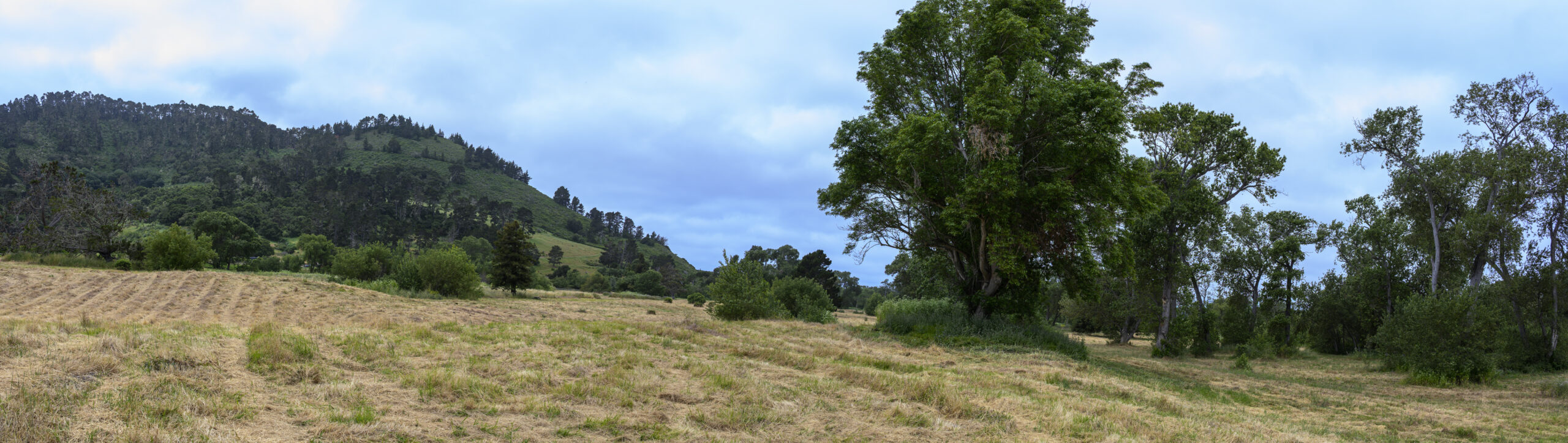Rancho Cañada Floodplain